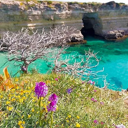 Venere Centro Storico Otranto, Salento 4 Posti ホテル